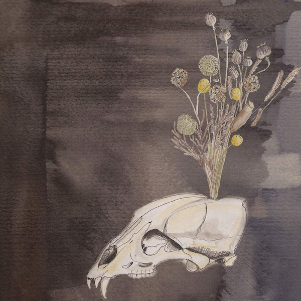 Steve Gunn & Black Twig Pickers - Seasonal hire (LP) - Velvet Music