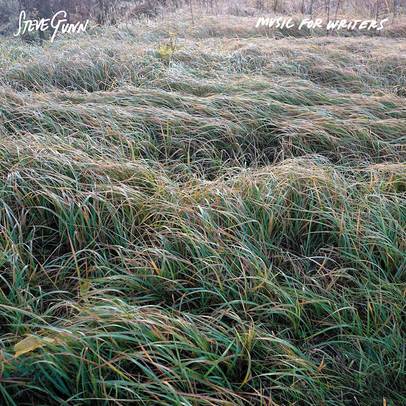 Steve Gunn - Music for writers (CD) - Velvet Music