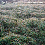 Steve Gunn - Music For Writers (LP) - Velvet Music