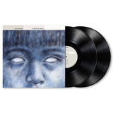Steve Hackett - To watch the storms -2023 reissue- (LP)
