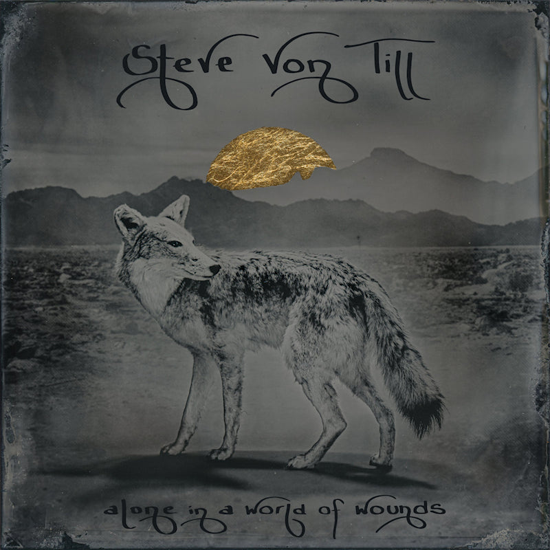 Steve Von Till - Alone in a world of wounds (LP) - Velvet Music