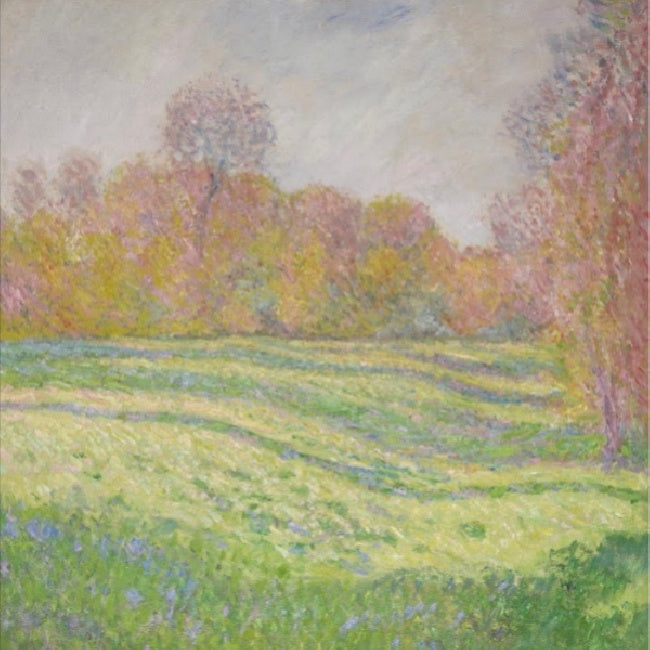 Strawberry Guy - Sun outside my window (LP)