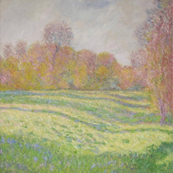 Strawberry Guy - Sun outside my window (LP)