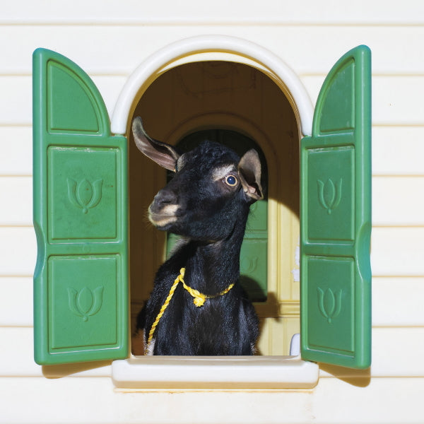 Superchunk - Wild loneliness (CD)