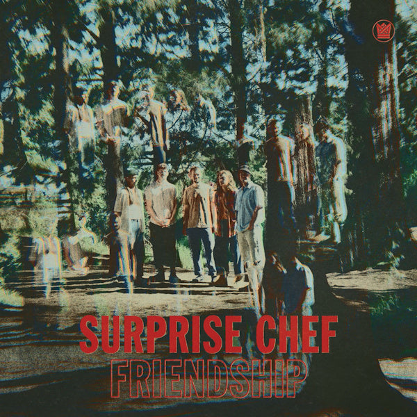 Surprise Chef - Friendship (LP) - Velvet Music