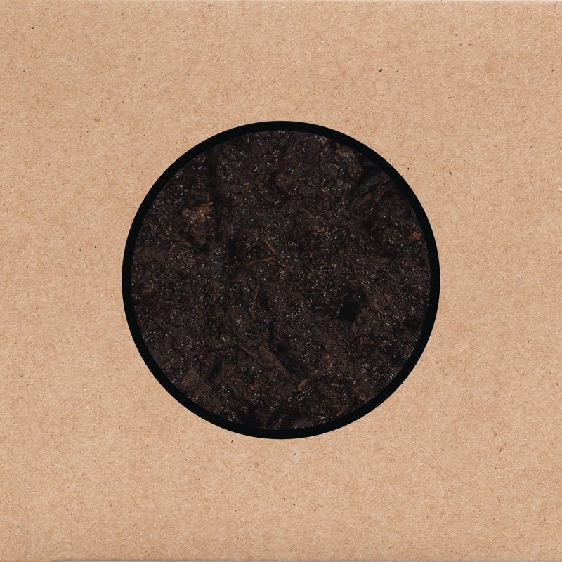 Swans - Birthing (LP)