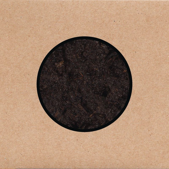Swans - Birthing (LP) - Velvet Music