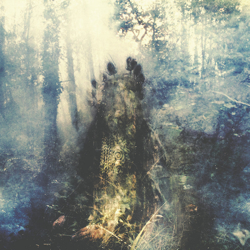 Sylvaine - Wistful (LP) - Velvet Music