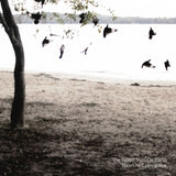 Tallest Man On Earth - There's no leaving now (CD)