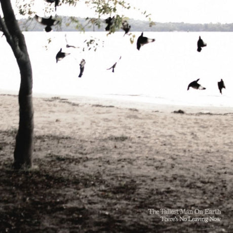 Tallest Man On Earth - There's no leaving now (LP) - Velvet Music