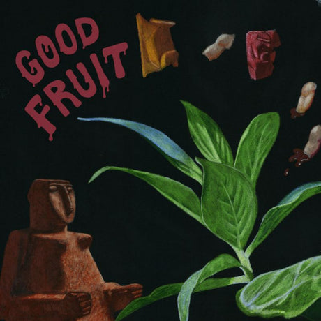 Teen - Good fruit (LP)
