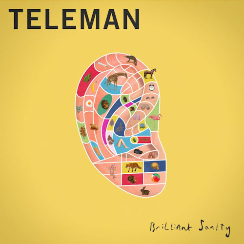 Teleman - Brilliant sanity (CD) - Velvet Music