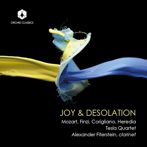 Alexander Fiterstein - Joy & desolation (CD)