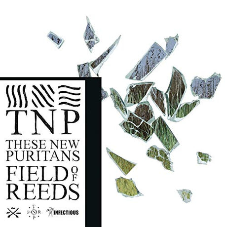 These New Puritans - Field of reeds (CD) - Velvet Music