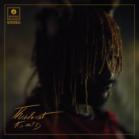 Thundercat - It is what it is (CD) - Velvet Music