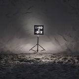 Tinariwen - Live in Paris 2014 (LP)