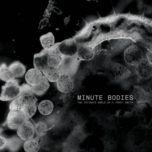 Tindersticks - Minute bodies: the intimate world (LP) - Velvet Music