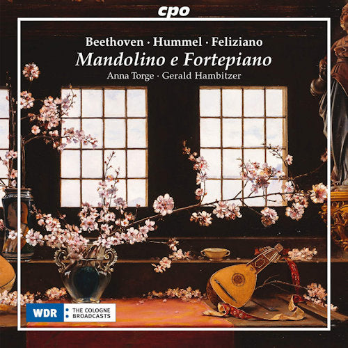 J.n. Hummel - Mandolino e fortepiano (CD) - Velvet Music