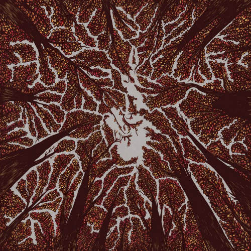 Trash Boat - Crown shyness (CD) - Velvet Music