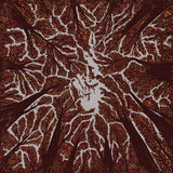 Trash Boat - Crown shyness (CD) - Velvet Music