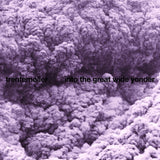 Trentemoller - Into the great wide yonder (CD) - Velvet Music