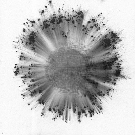 Trentemoller - Obverse (LP) - Velvet Music