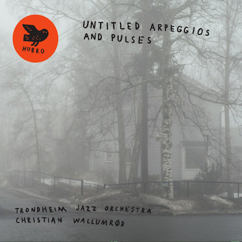Trondheim Jazz Orchestra - Untitled apreggios and pulses (CD)