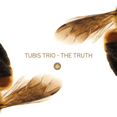 Tubis Trio - Truth (CD) - Velvet Music
