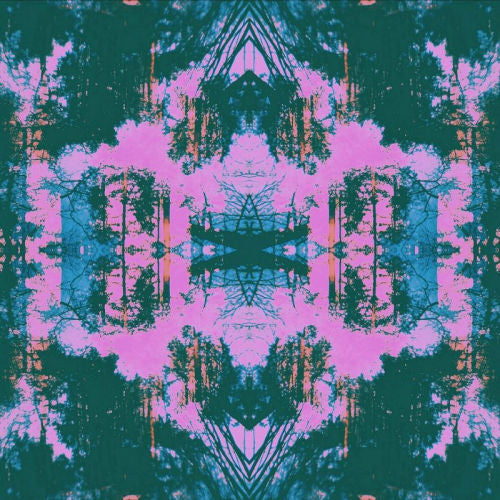 Tusks - Dissolve (LP)