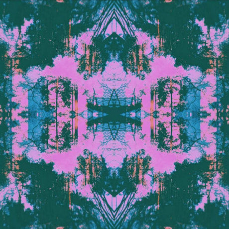 Tusks - Dissolve (CD) - Velvet Music