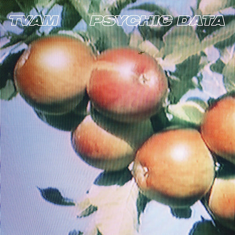TVAM - Psychic data (CD) - Velvet Music