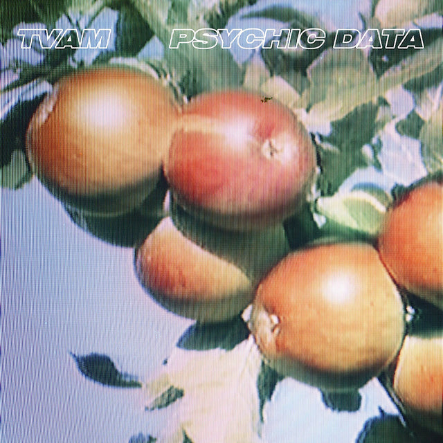 TVAM - Psychic data (CD) - Velvet Music