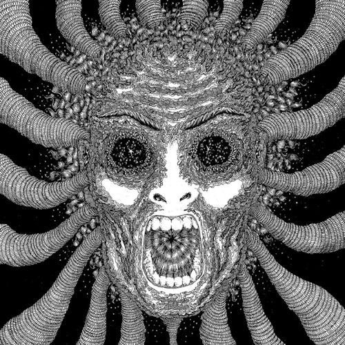 Ty Segall -band- - Slaughterhouse (Preloaded Player audio) - Velvet Music