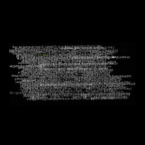 Ty Segall - Ty rex (LP) - Velvet Music