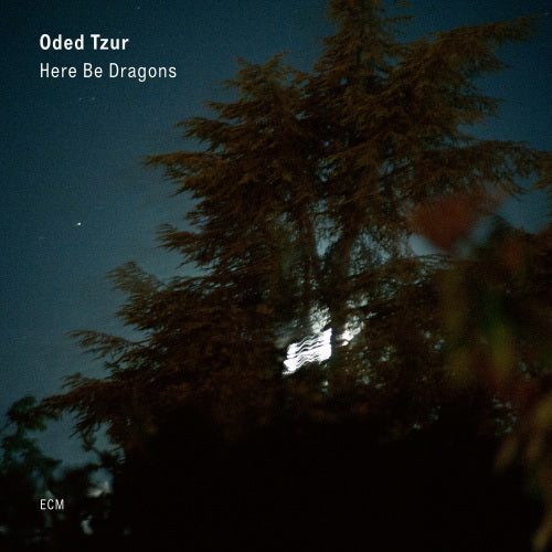 Oded Tzur - Here be dragons (LP)