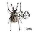Tana Quartet - Metamorphoses - tana (CD) - Velvet Music