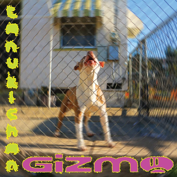 Tanukichan - Gizmo (LP) - Velvet Music