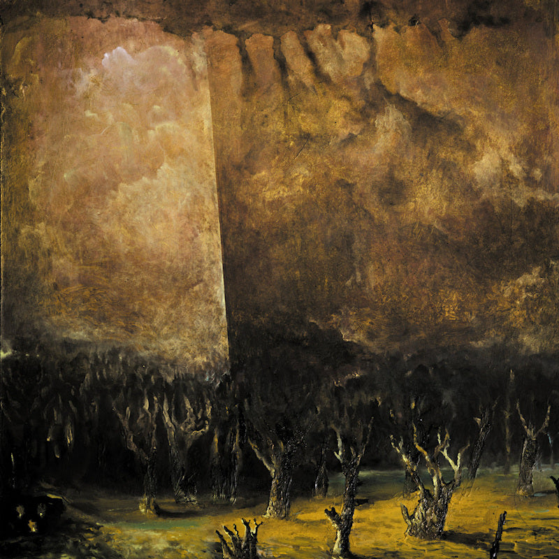 Tenebrae In Perpetuum - Vacuum coeli (CD) - Velvet Music