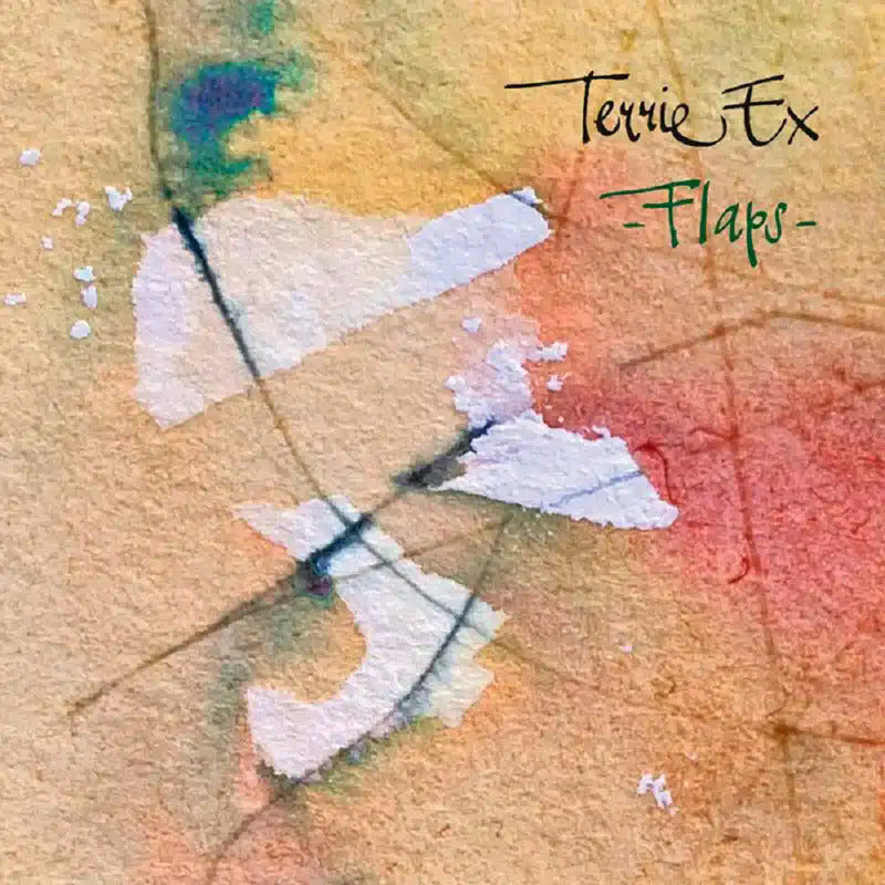 Terrie Ex - Flaps! (LP)