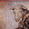Terry Allen & The Panhandle Mystery Band - Bloodlines (CD) - Velvet Music