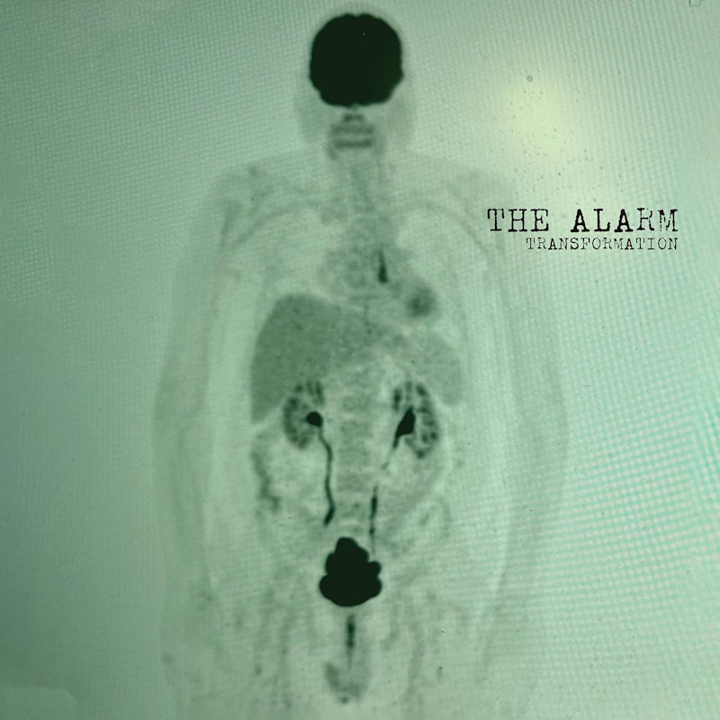 The Alarm - Transformation (LP)