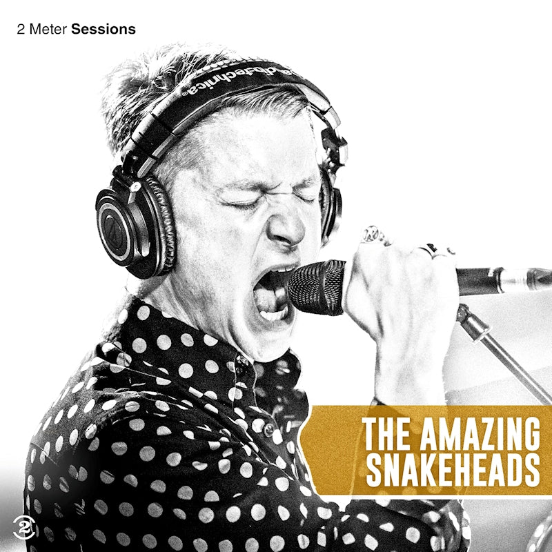Amazing Snakeheads - 2 meter sessions (LP)