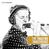 Amazing Snakeheads - 2 meter sessions (LP)