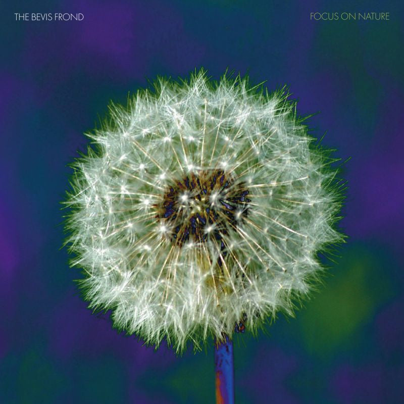 The Bevis Frond - Focus on nature -purple vinyl- (LP) - Velvet Music