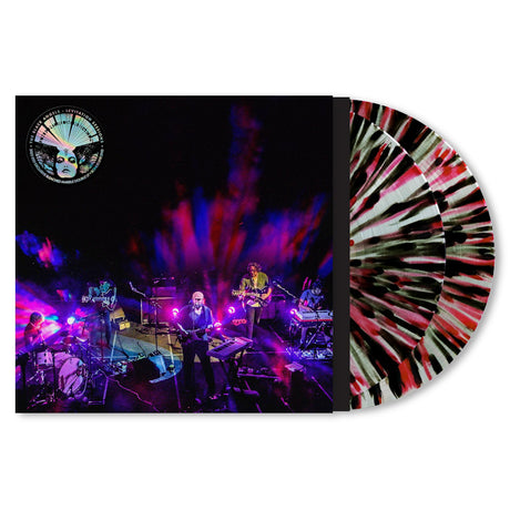 The Black Angels - Levitation sessions (LP) - Velvet Music