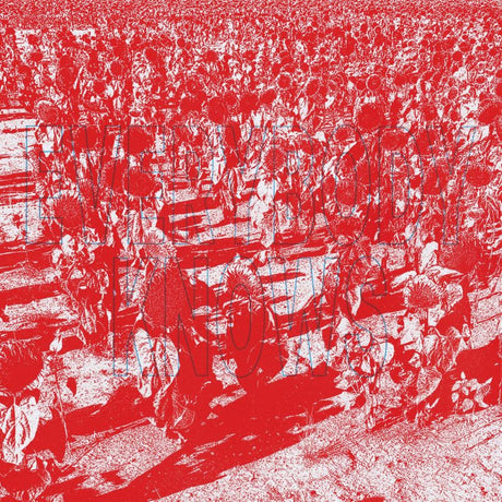 Bony King Of Nowhere - Everybody knows (LP)