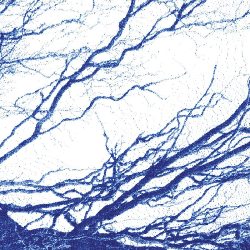 The Bony King Of Nowhere - Silent days (CD) - Velvet Music
