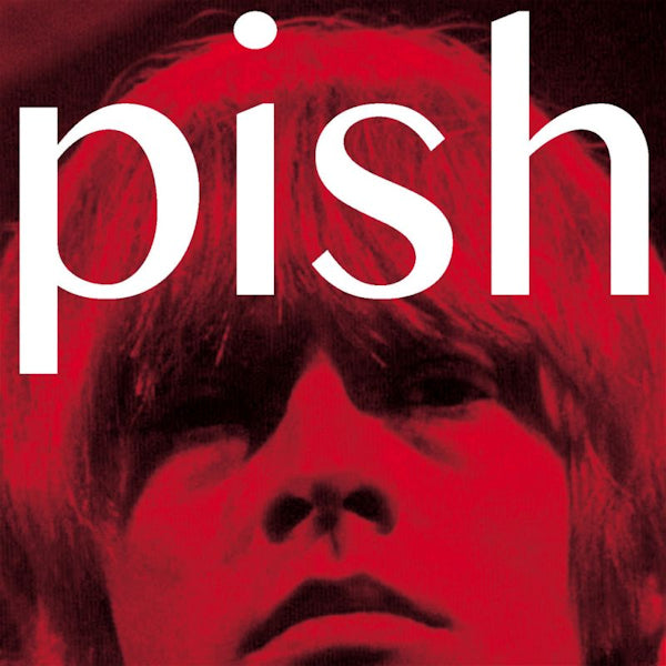 The Brian Jonestown Massacre - Mini album thingy wingy (CD)