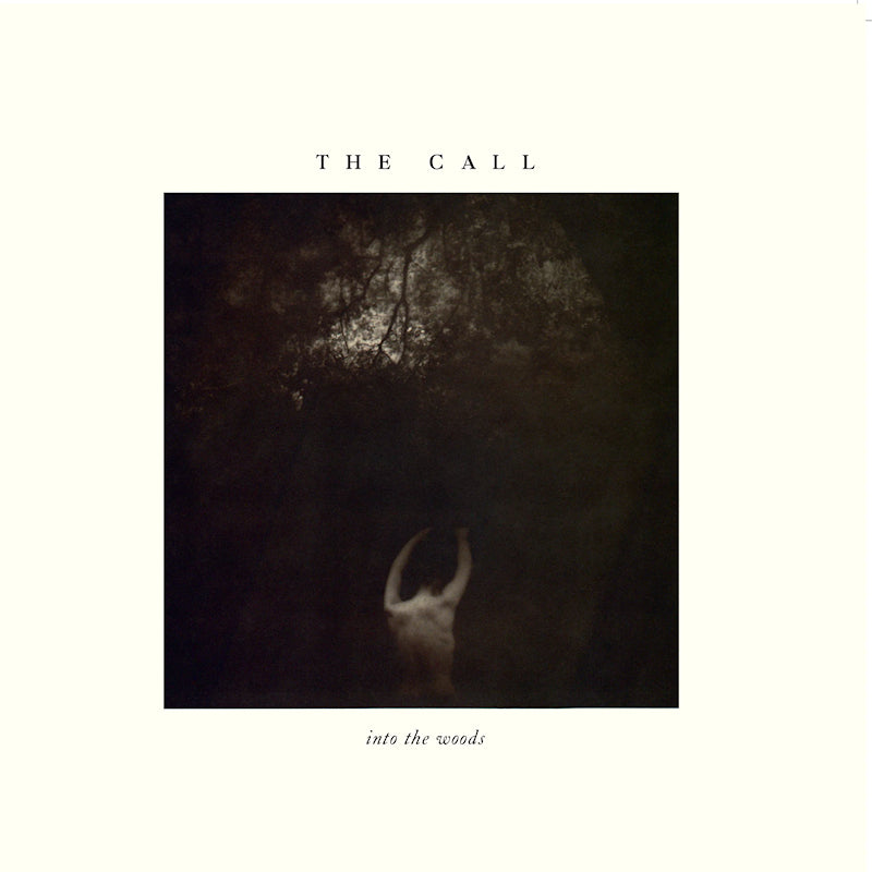 The Call - Into the woods (LP)