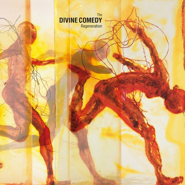 The Divine Comedy - Regeneration (LP) - Velvet Music